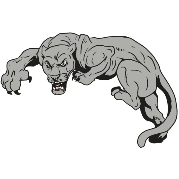 AR10 PANTHER 02 RQC Thumbnail