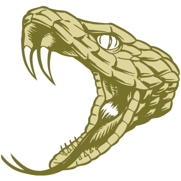 BAW SNAKE 11 RC Thumbnail