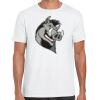 Mens Softstyle Tee Shirt Thumbnail