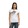 Womens Softstyle Cotton Tee Thumbnail